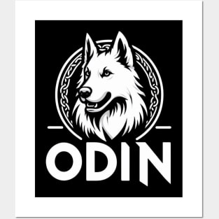 Odin The White Swiss Shepherd Posters and Art